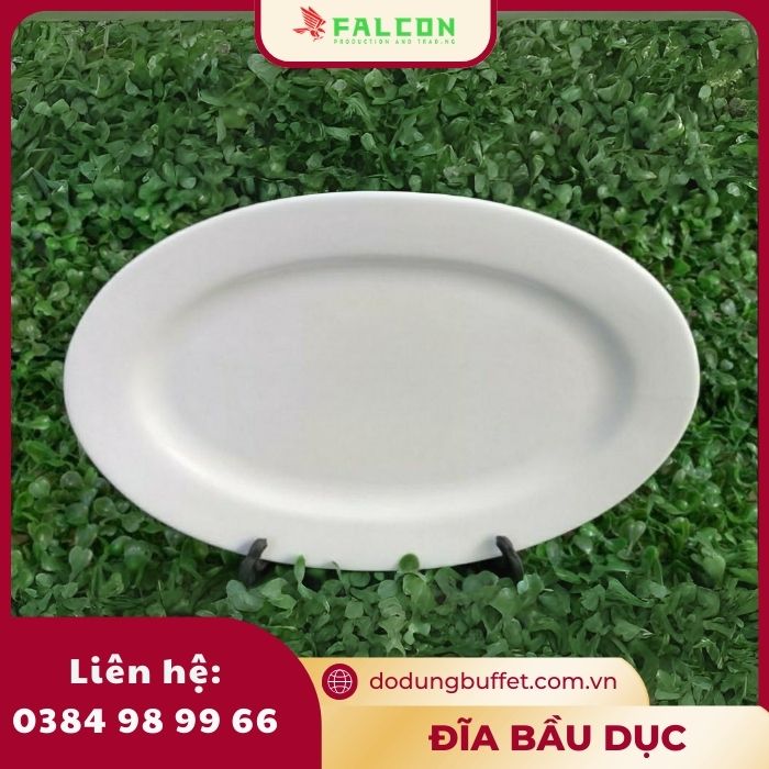 dia-bau-duc-xoai-oval-12 Đĩa bầu dục xoài