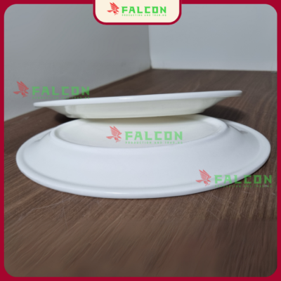 Đĩa bầu dục / xoài oval 12