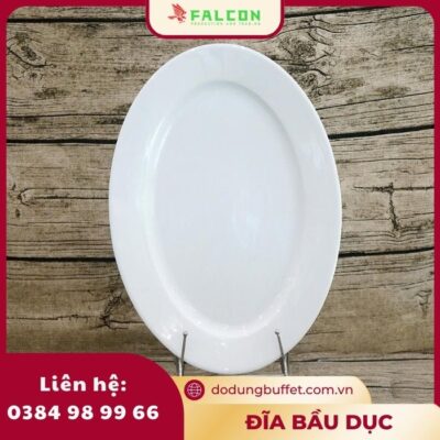 Đĩa bầu dục xoài 9