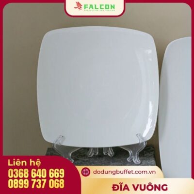 Đĩa hình vuông 8"