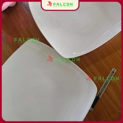 Đĩa hình vuông 8 falcon hcm