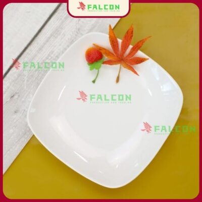 Đĩa hình vuông 8 HCM