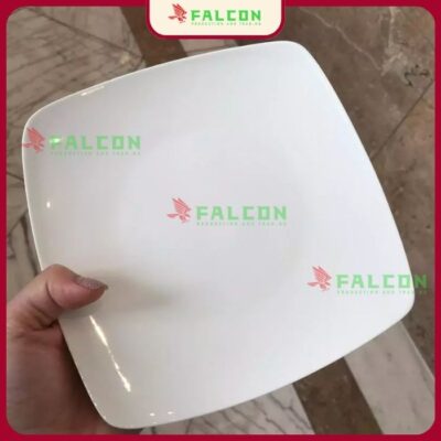 Đĩa hình vuông 8 HCM Falcon